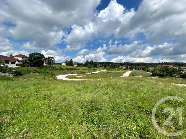 terrain - L HOPITAL DU GROSBOIS - 25